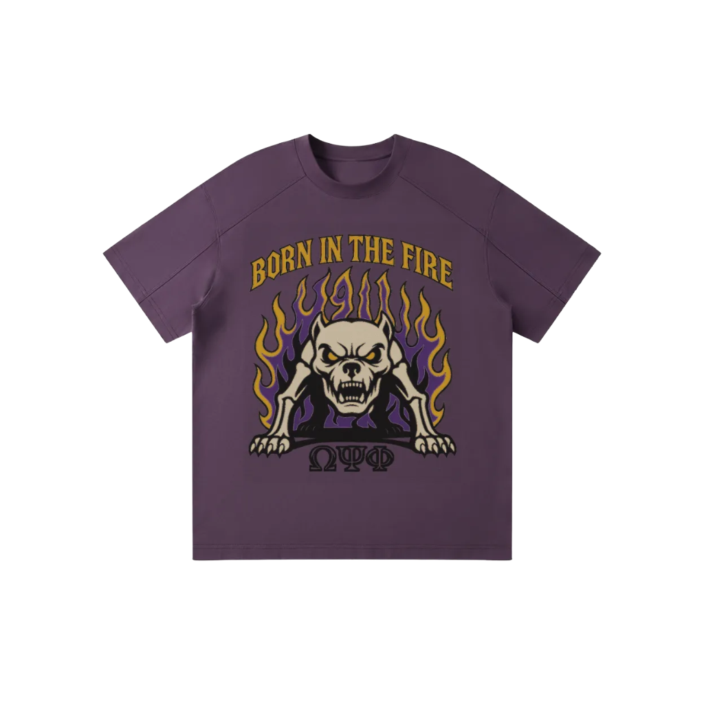 ΩΨΦ Born In The Fire Raglan Tee