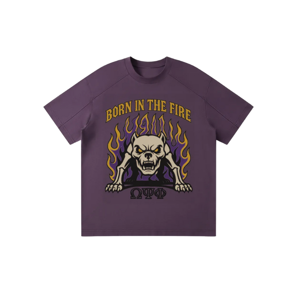 ΩΨΦ Born In The Fire Raglan Tee